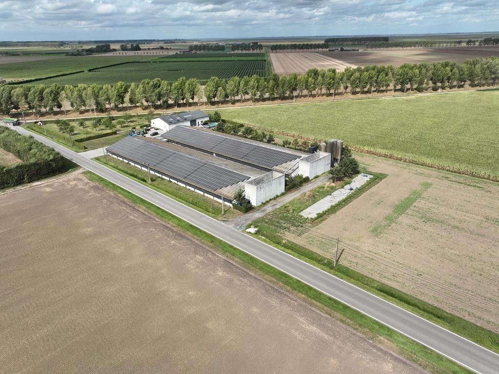 Modern pluimveebedrijf foto 2