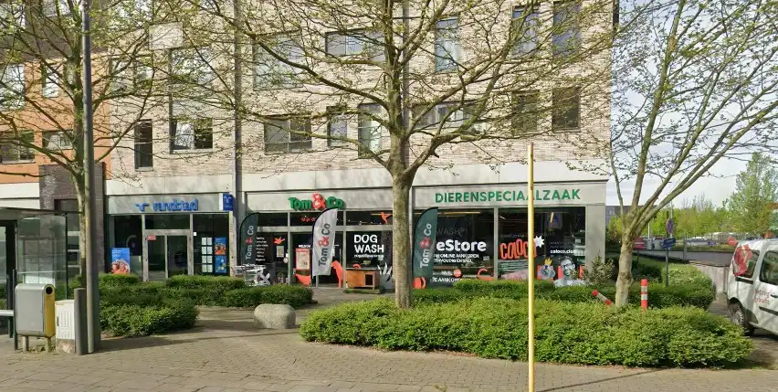 MODERN COMMERCIEEL GELIJKVLOERS MET GEBRUIK GROTE PARKING foto {{pictureIndex}}