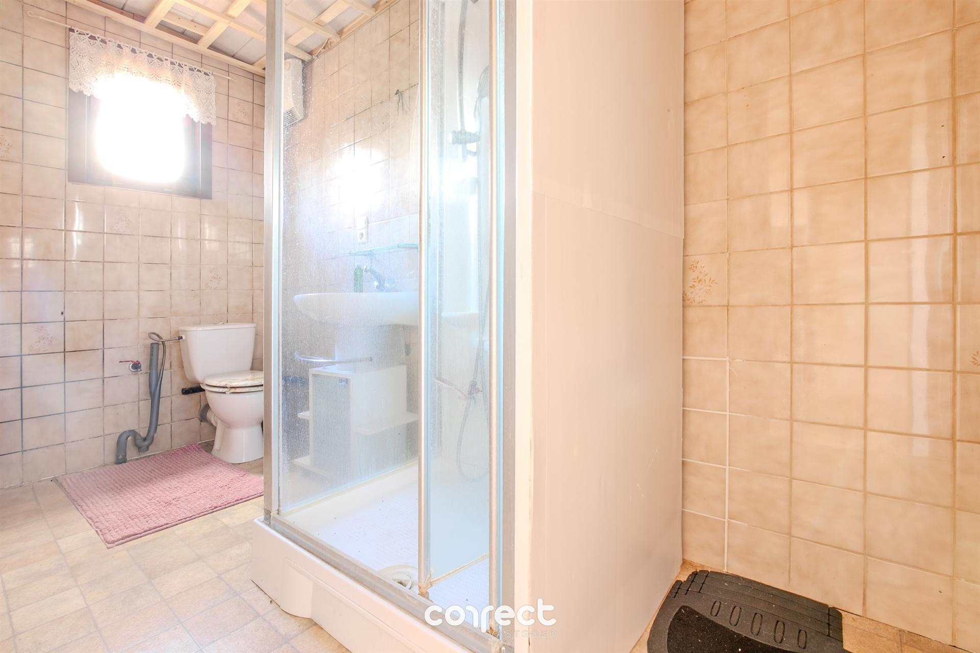 Renovatieproject op ruim perceel in Sint-Michiels foto 12