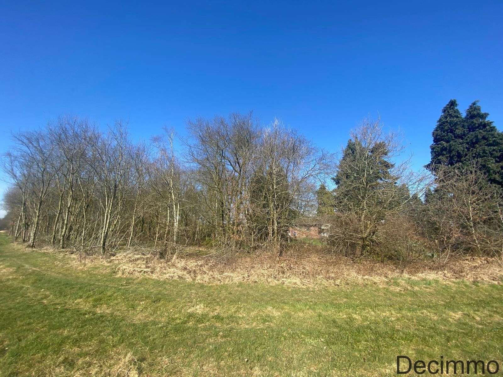 Landbouwgrond (bebost)  aan Schoormolenstraat te Balen foto 11