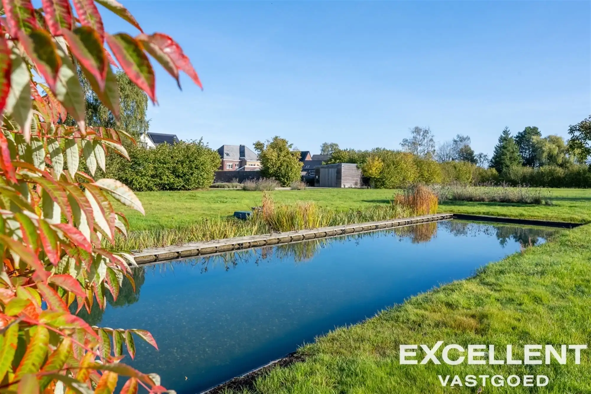 Villa met zwemvijver op een uitzonderlijk perceel foto 7