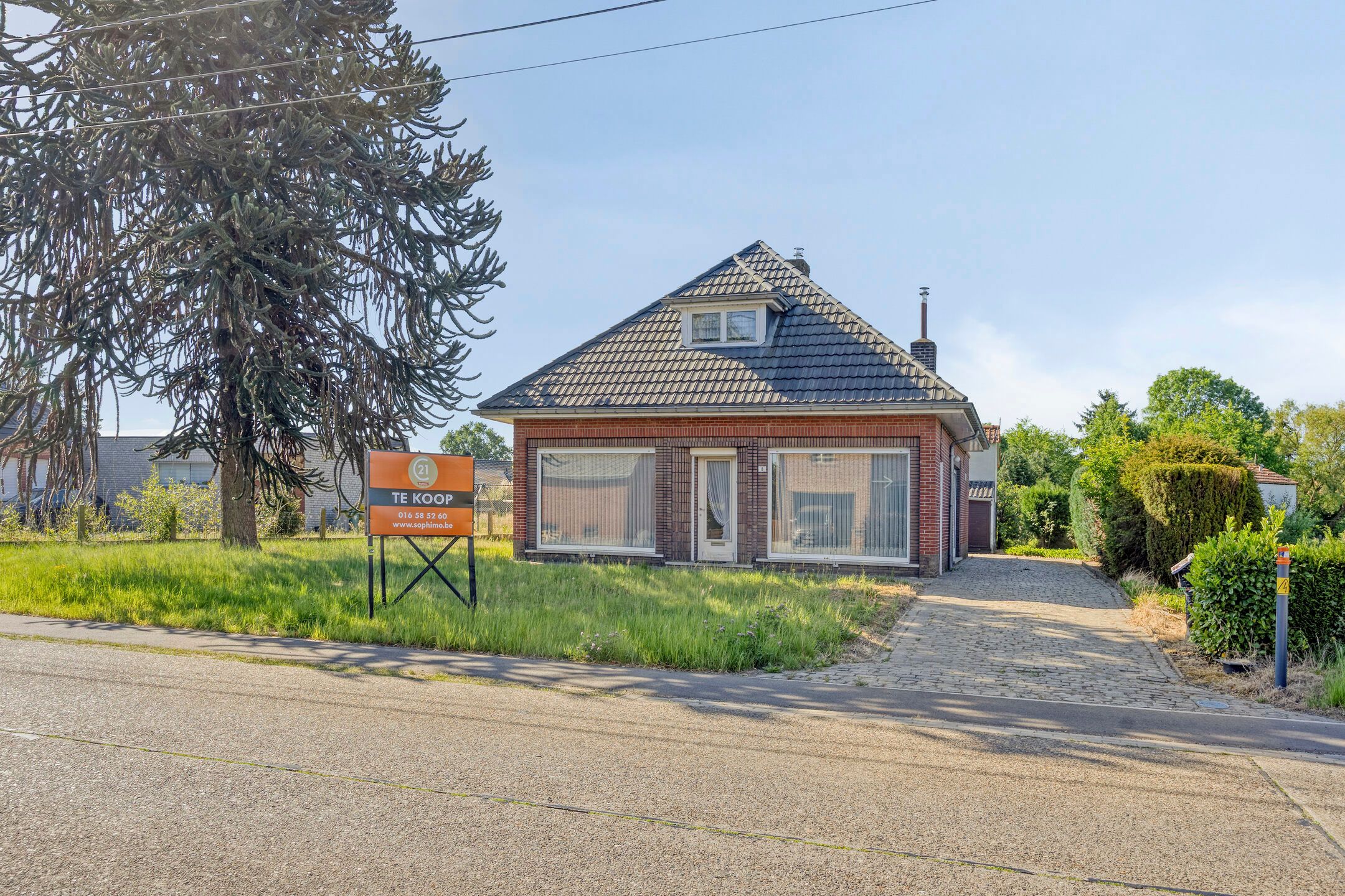 Te renoveren woning op prachtig perceel van 19a54 foto 3