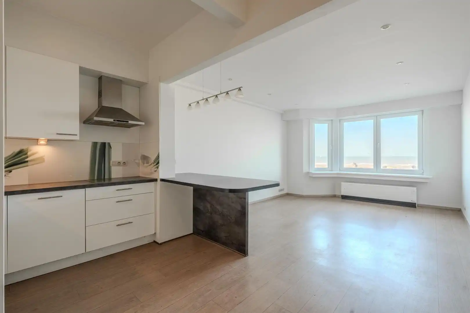 Hoofdfoto van de publicatie: appartement