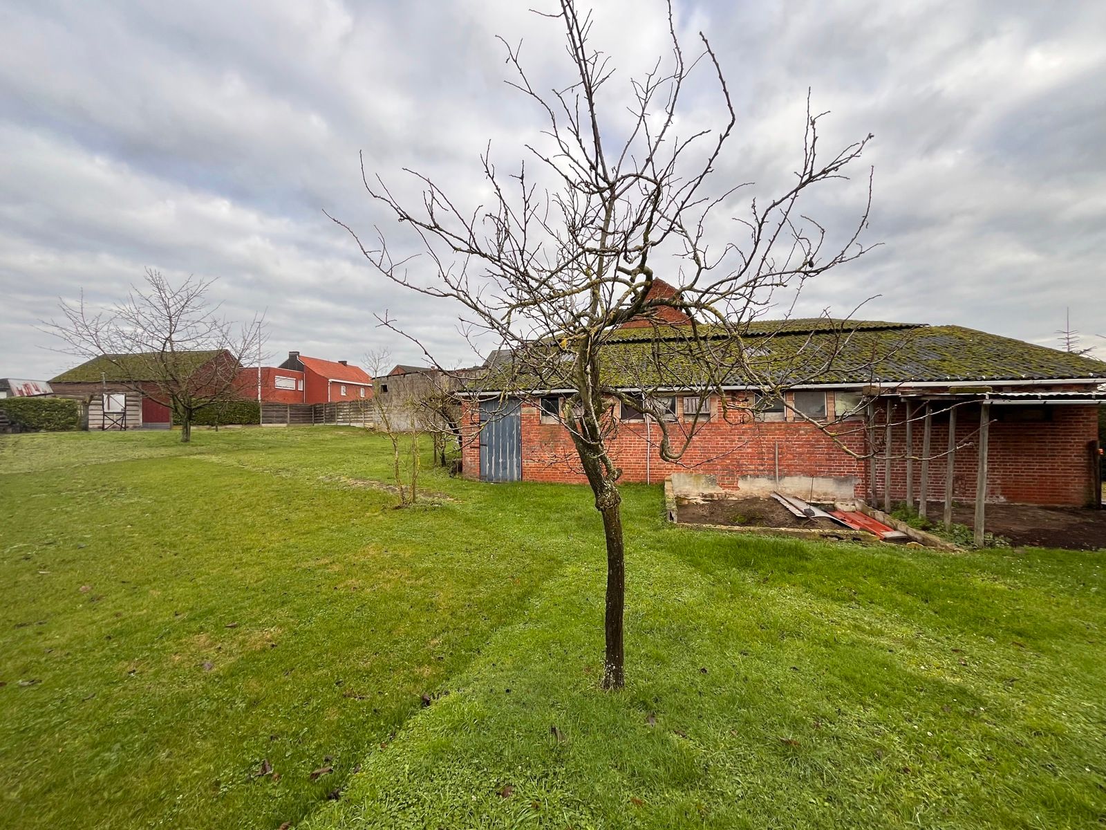 Halfopen bebouwing met 4 slaapkamers en hangaar te Zoutleeuw foto 3