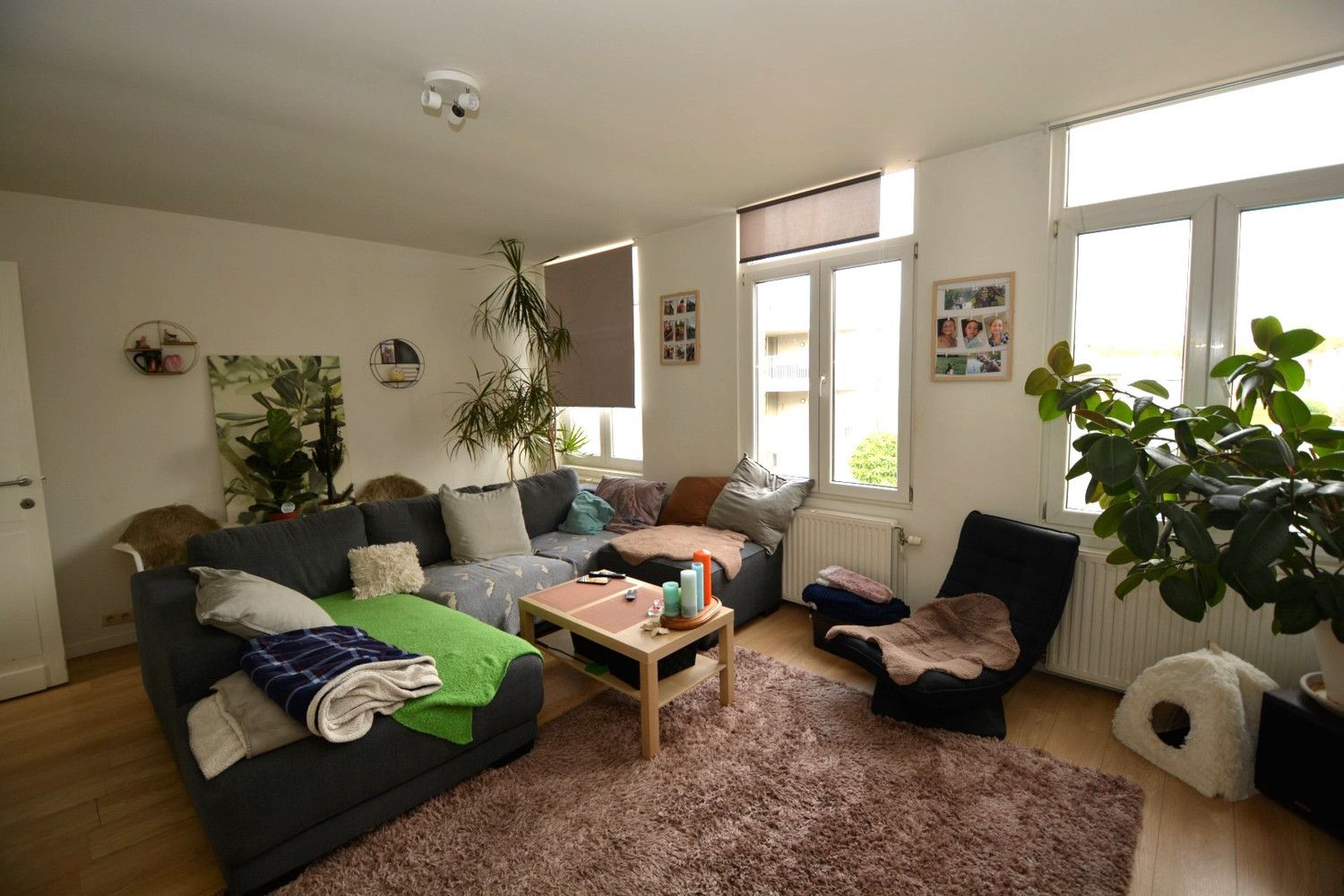 WONING MET MAGAZIJN (365m²) TE CENTRUM WOMMELGEM! foto 6