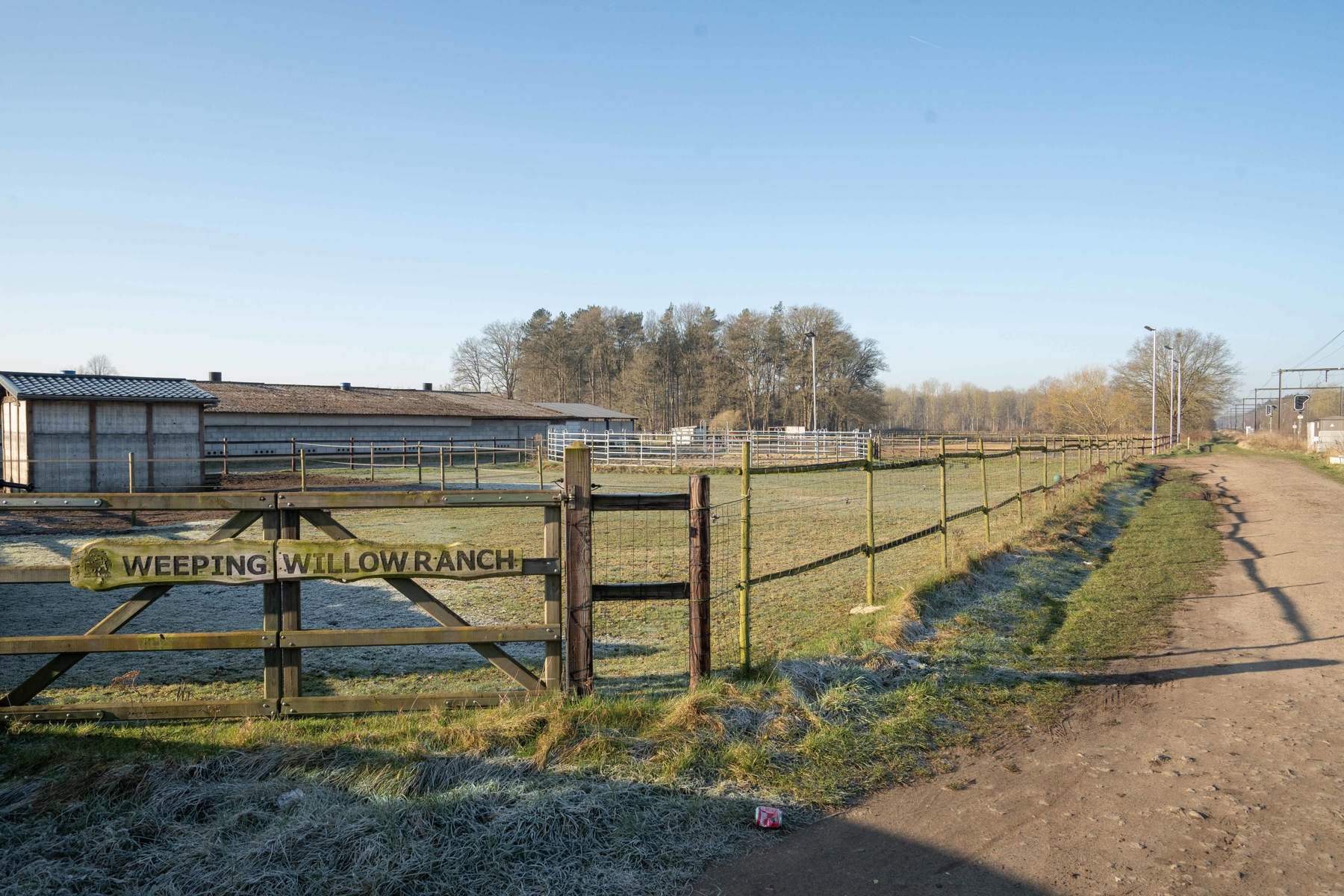 Unieke eigendom met loods, bijgebouwen en weilanden op 87a37 foto 11