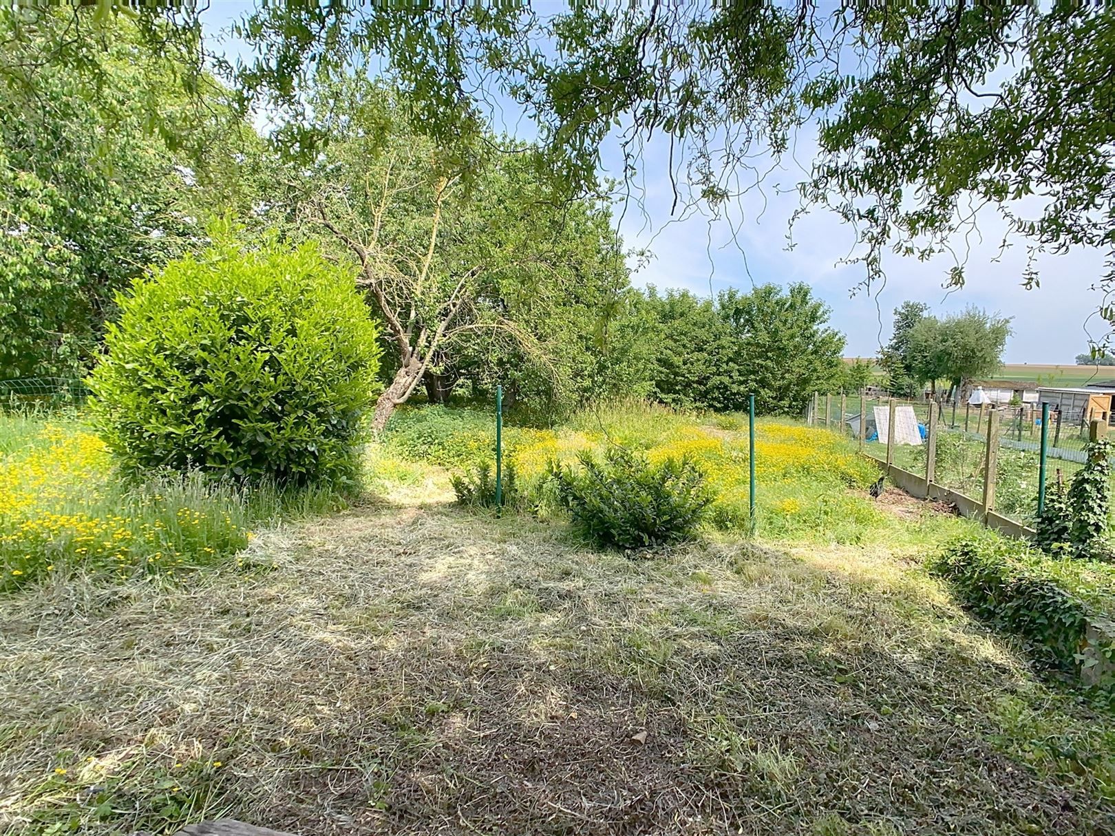 Te renoveren woning, 3 slpks, zolder, tuin, garage, 9a 98ca foto 34