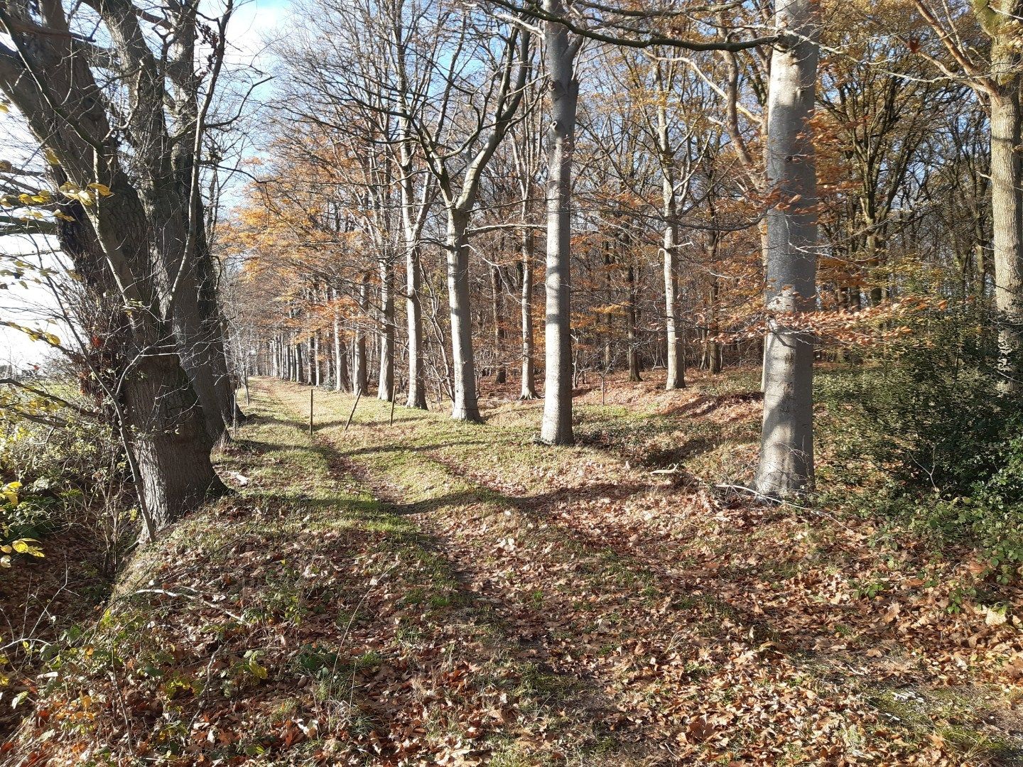 Uitzonderlijk gelegen villa. foto 2