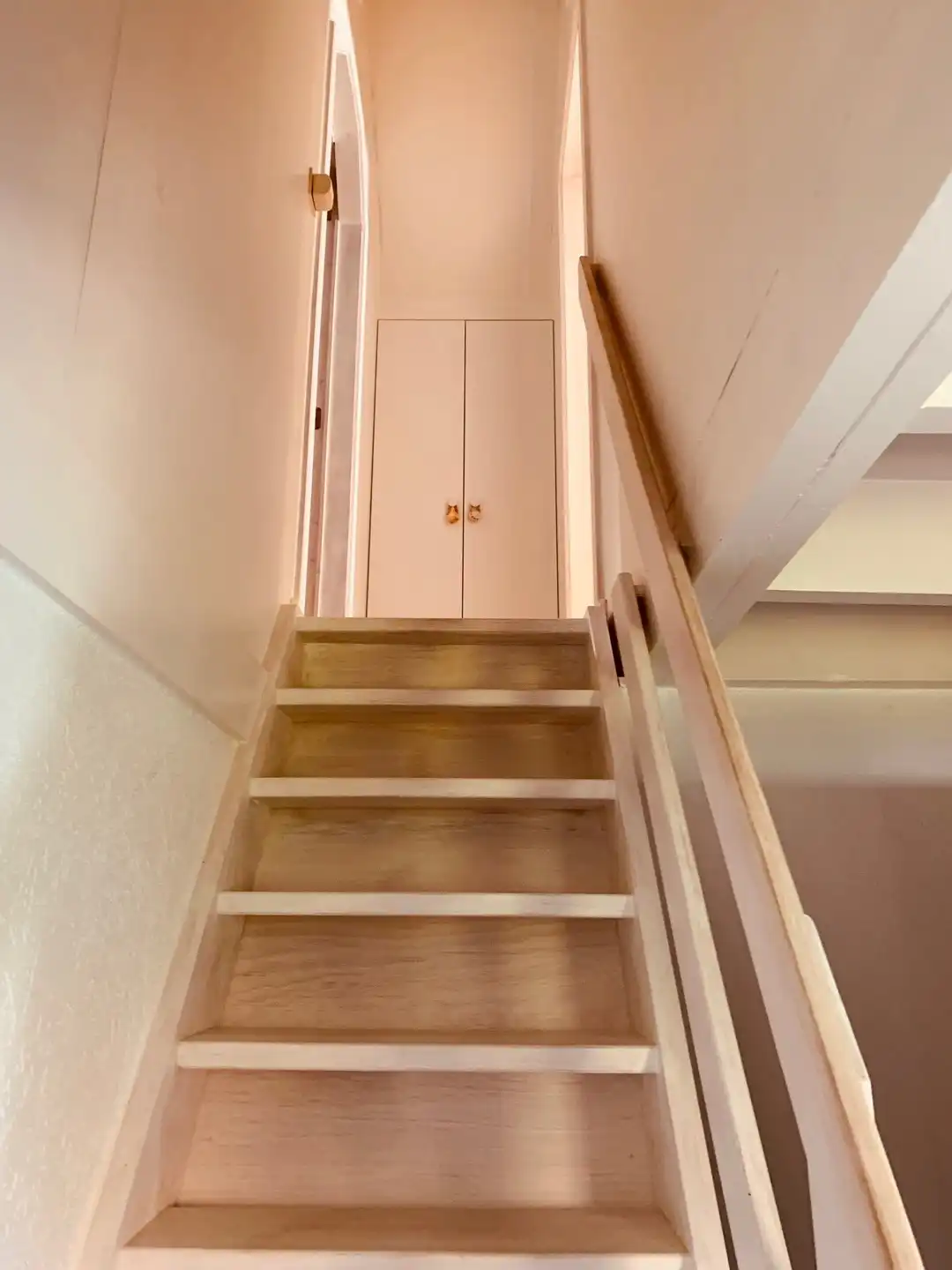 Charmante gerenoveerde visserswoning met zongerichte tuin en open zicht op de polders 🌾 foto 12