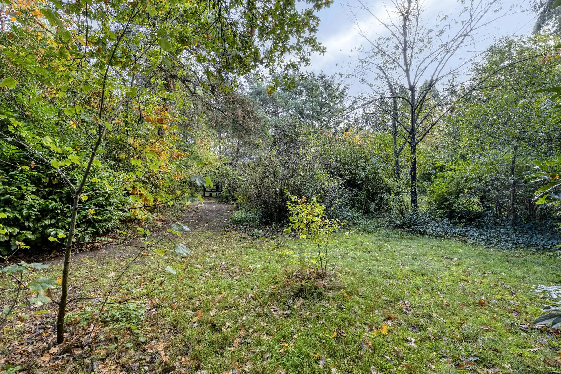 Woning met 2 slaapkamers in het woonbos van Essen-Wildert! foto 3