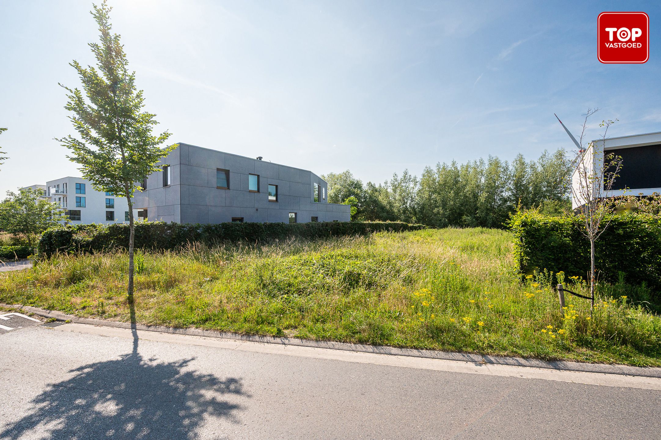 Bouwgrond van 1000 m2 gelegen op een toplocatie  foto 6