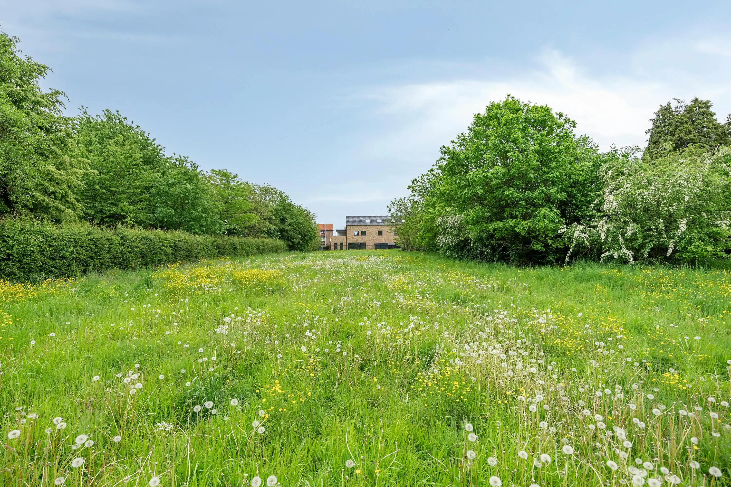 Bouwgrond te koop: OB of project in Rotem (22a 35ca) foto 9
