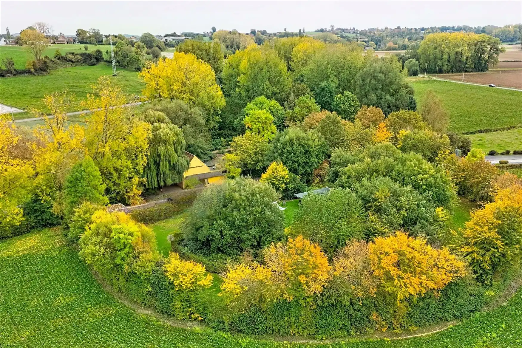 Uniek eigendom te koop: de Zwadderkotmolen. foto 2