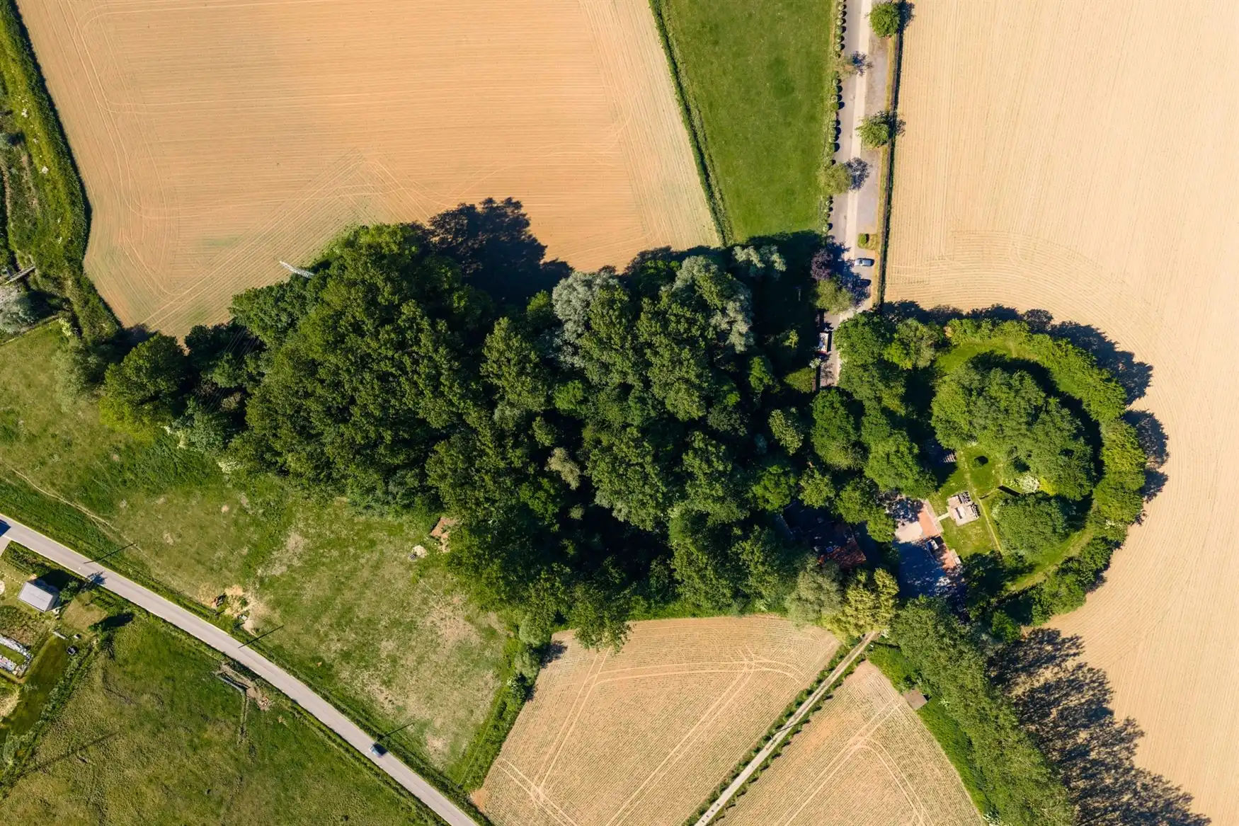 Uniek eigendom te koop: de Zwadderkotmolen. foto 2