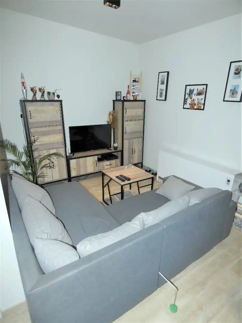 Gezellig appartement, gelijkvloers, met 1 slaapkamer en garage. foto 3