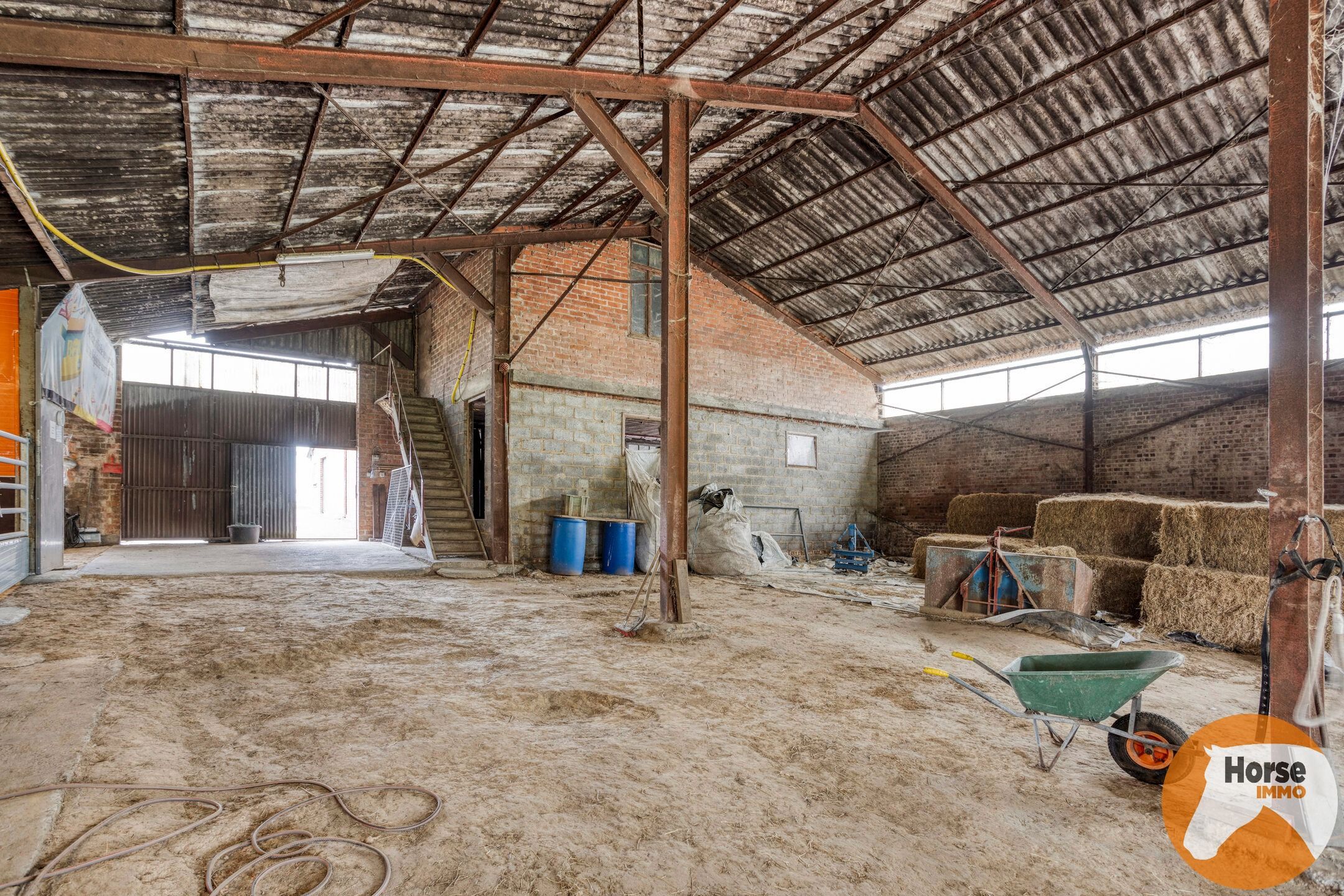 WOUBRECHTEGEM - Charmante woning met 2 loodsen op 1,61 ha  foto 27