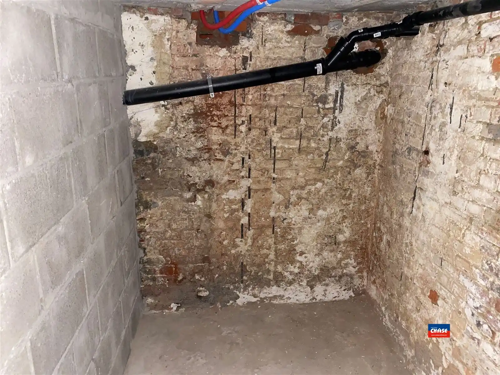 Verzorgde studio met aparte slaapkamer foto 15