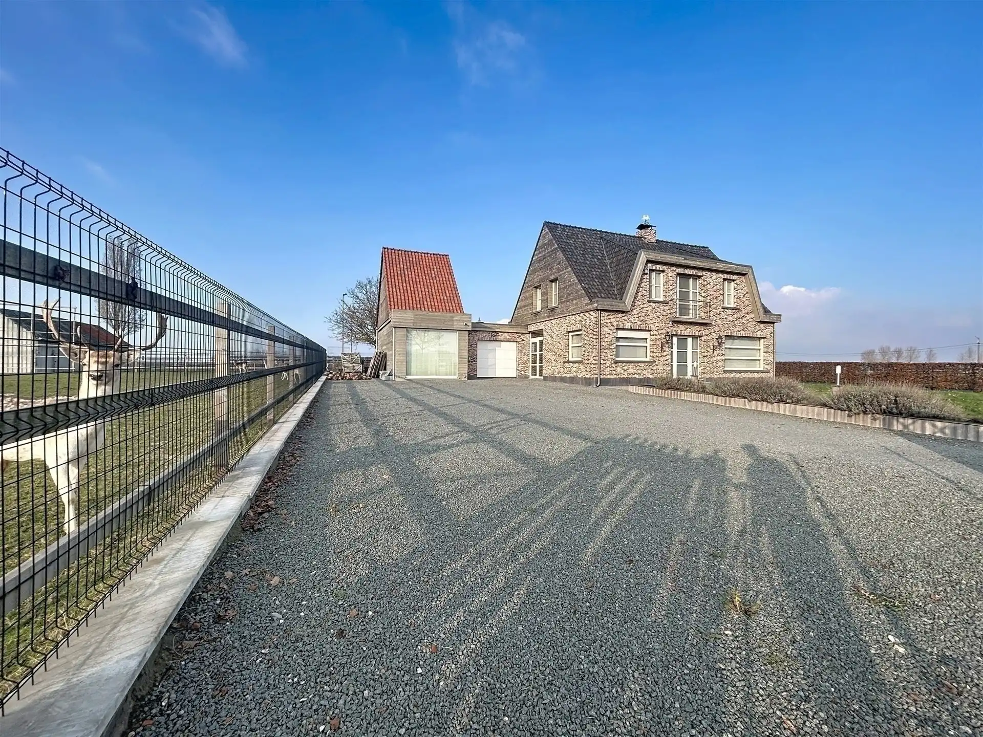 Ruime woning met bijbouw en weide op perceel van 6790 m²  foto 28