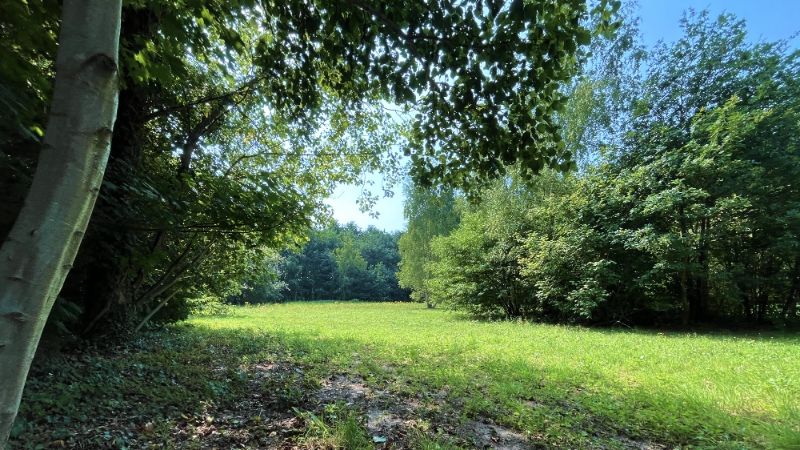 TE KOOP – Uniek stuk bouwgrond in de bossen van Lembeke – >15.000 m² foto 8