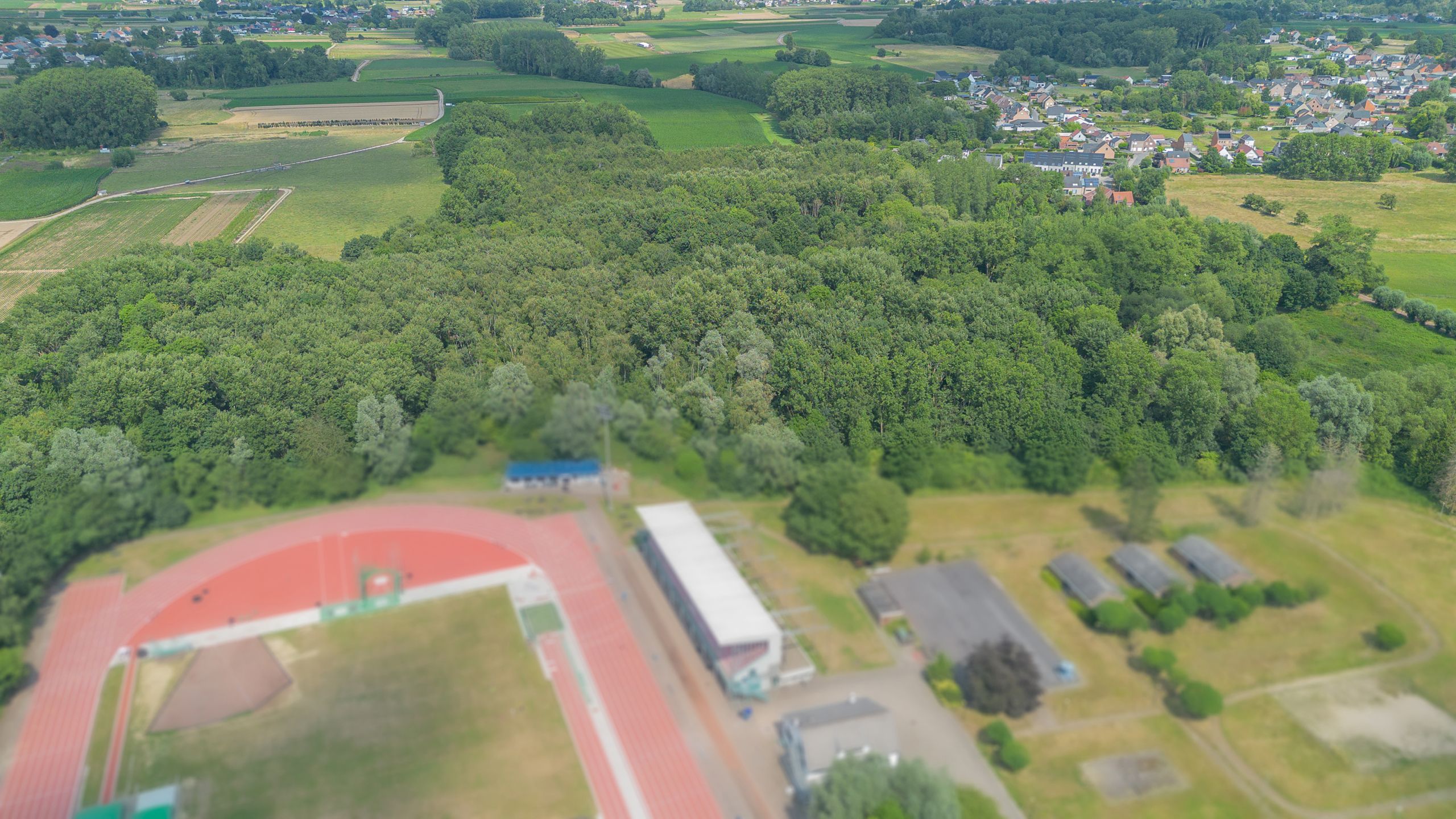 OORDEGEM - bos 2ha 21ca foto 2