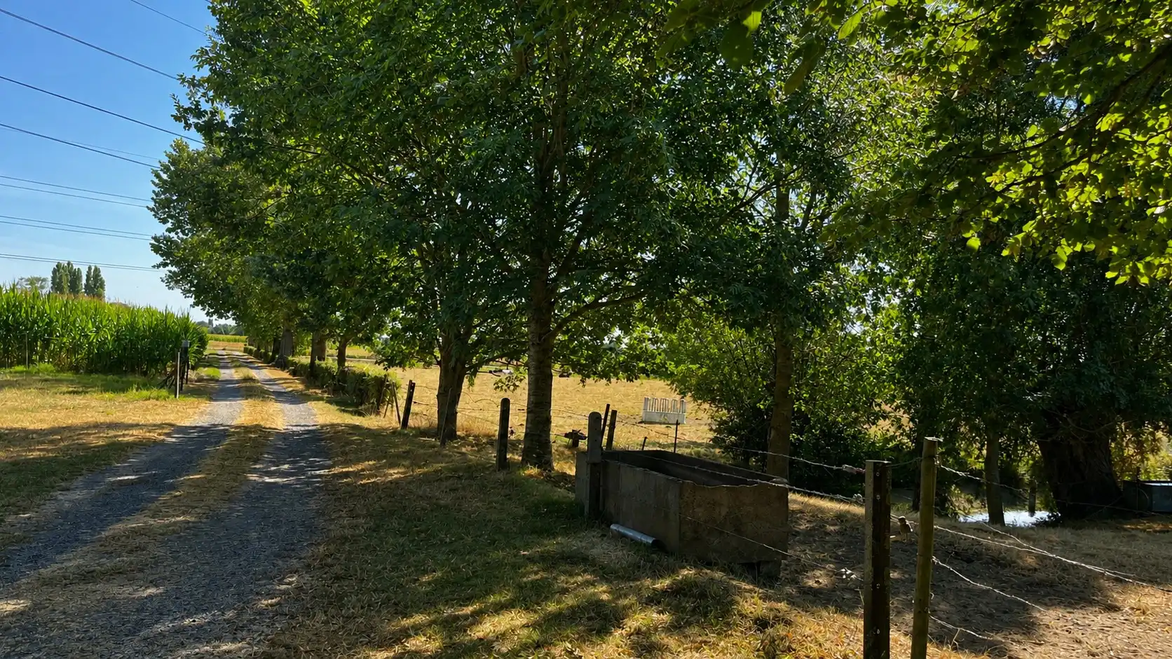 Unieke erfgoedhoeve met dreef, bijgebouwen en landelijke vergezichten foto 33