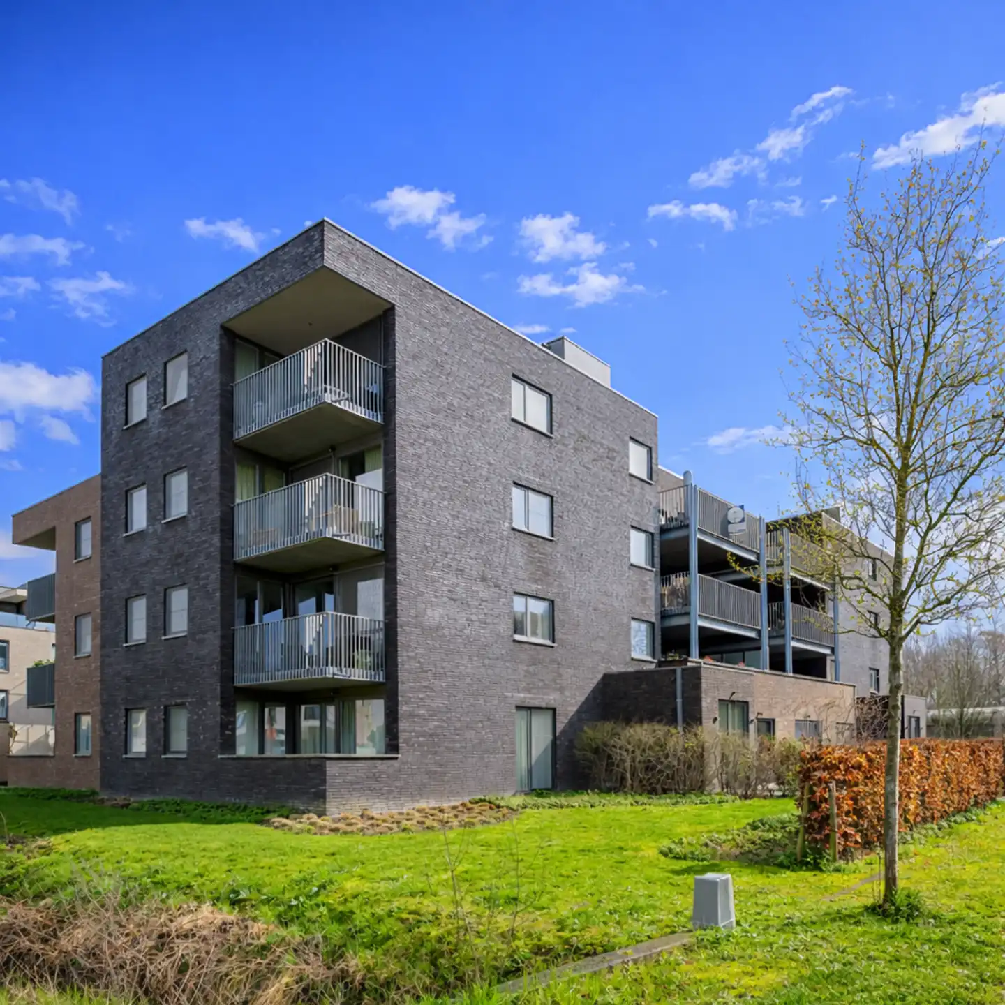 Lichtrijk appartement te koop in Oostakker  foto 14