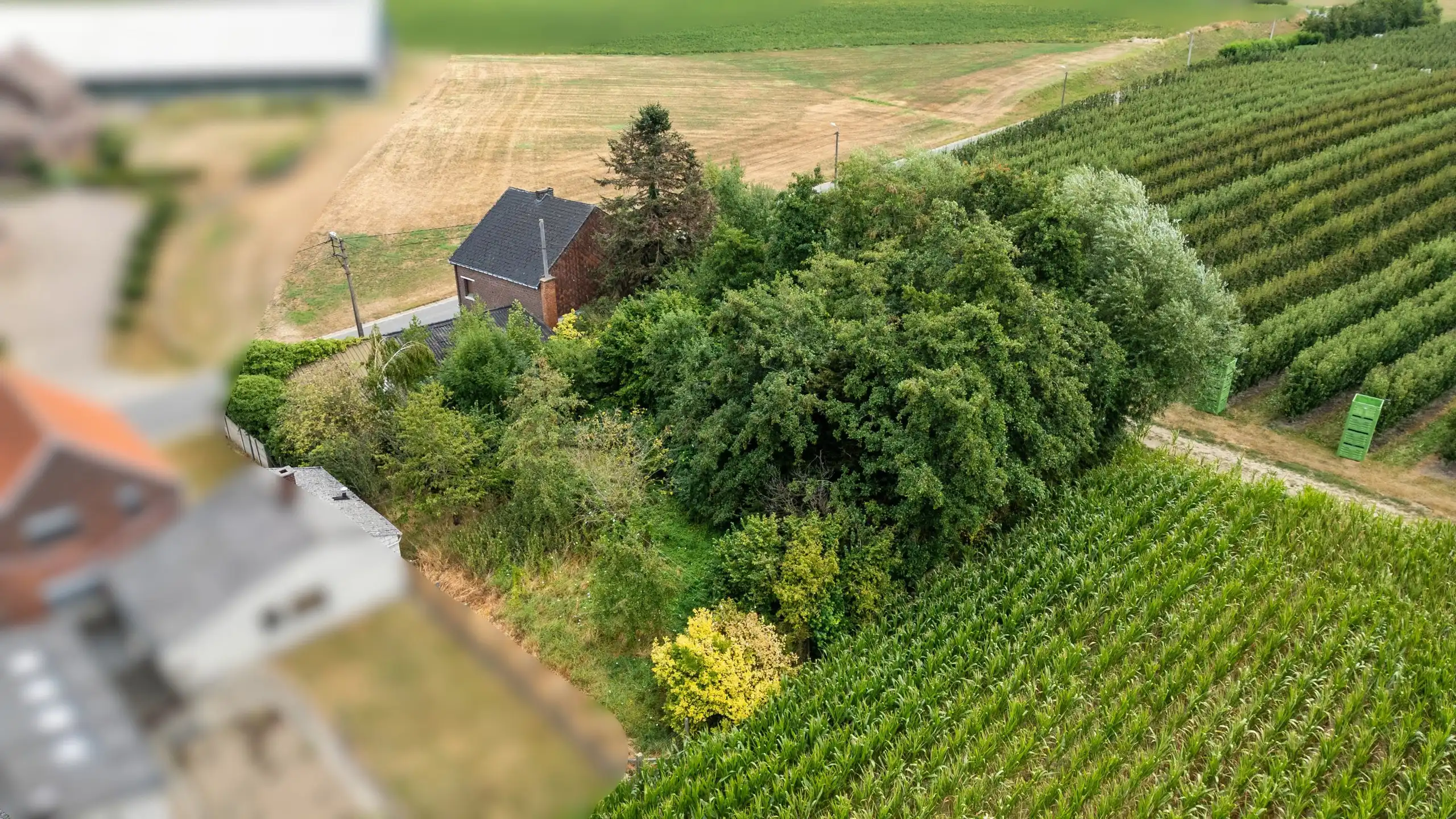 Grond te koop foto 5