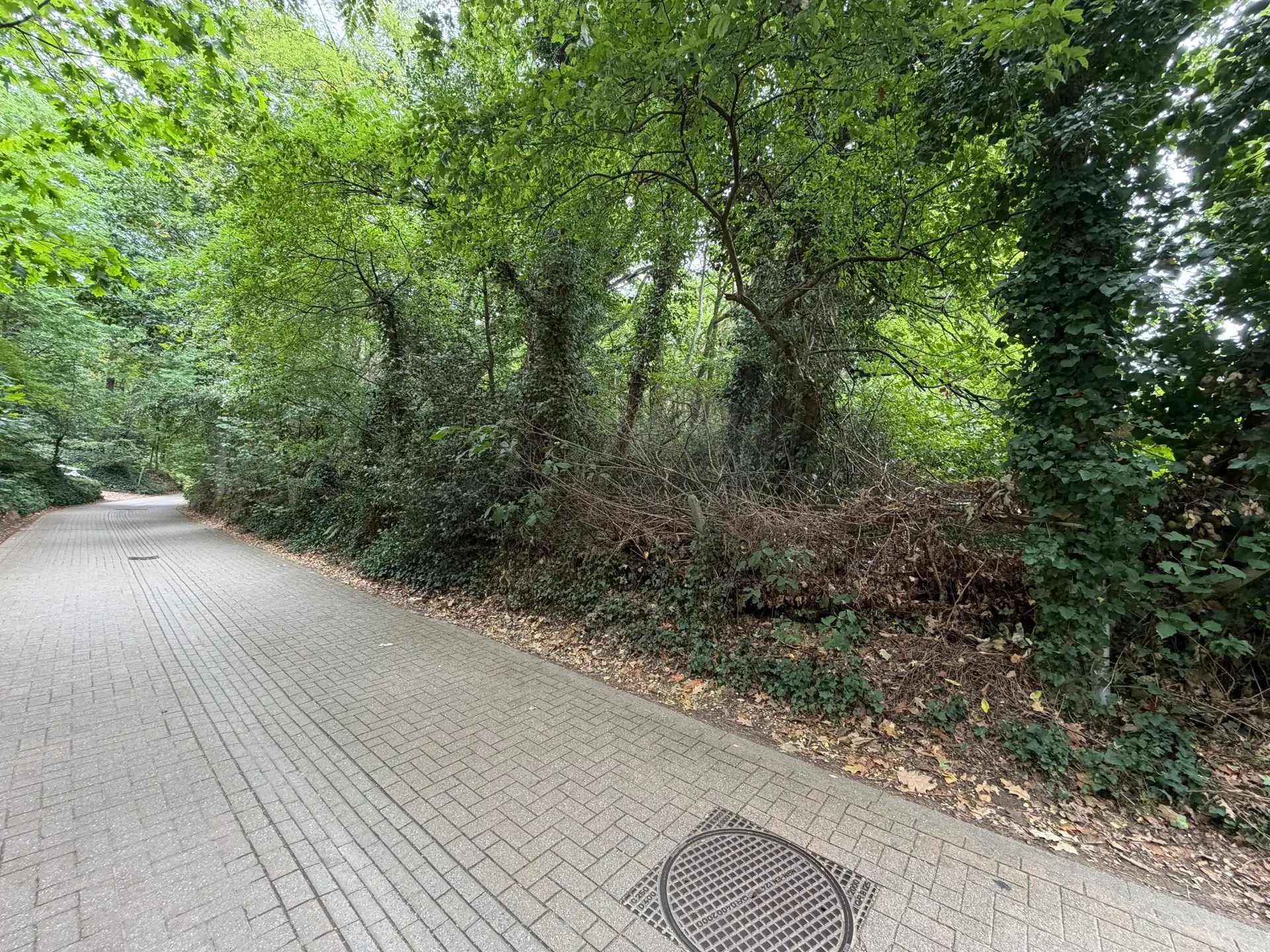 Ruime villagrond van 63a62ca te Heikant-Rotselaar foto 3