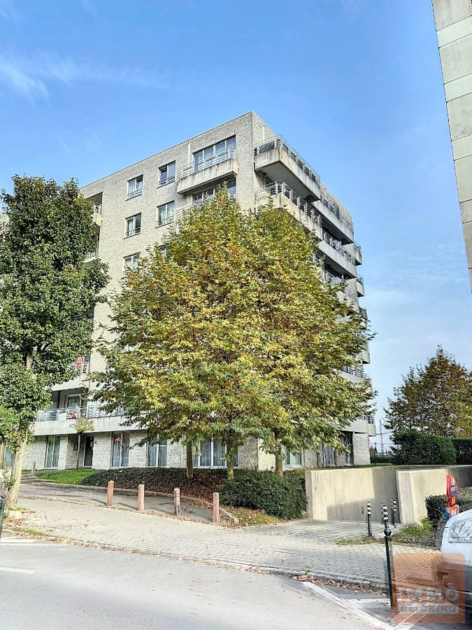 Toffe  penthouse met 3 slaapkamers en ruim terras foto 14