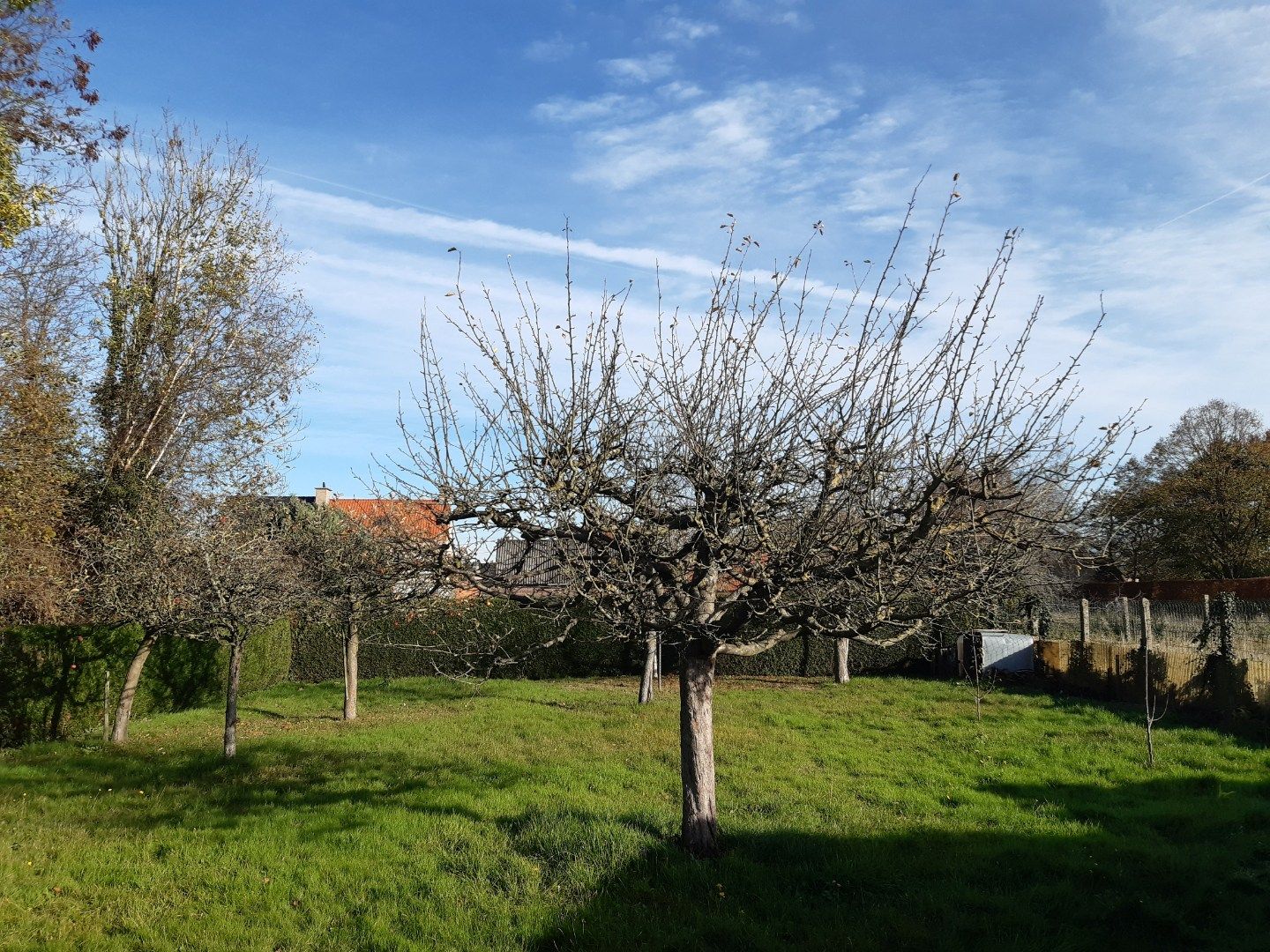 Tijdloos en rustig wonen. foto 27