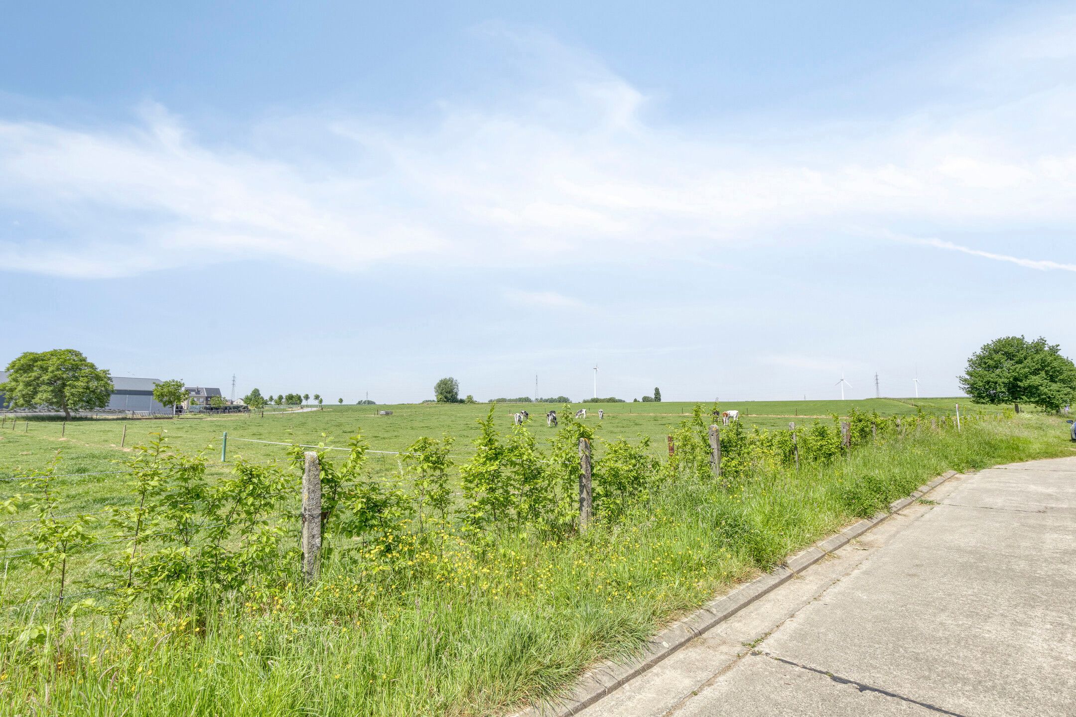 Huis te koop foto 15