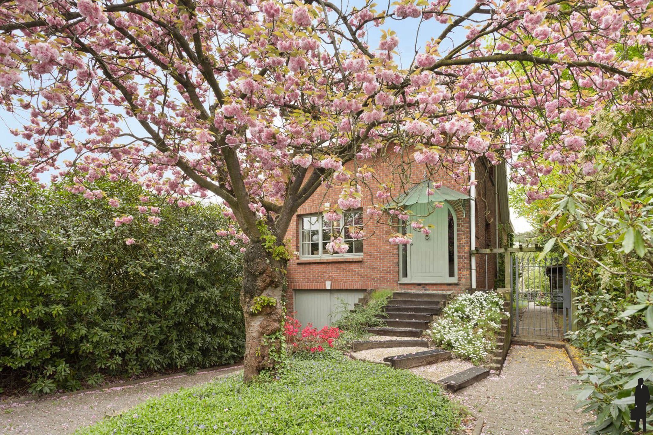 HOB op fantastische tuin in doodlopende straat (ca. 2343 m²) foto 4