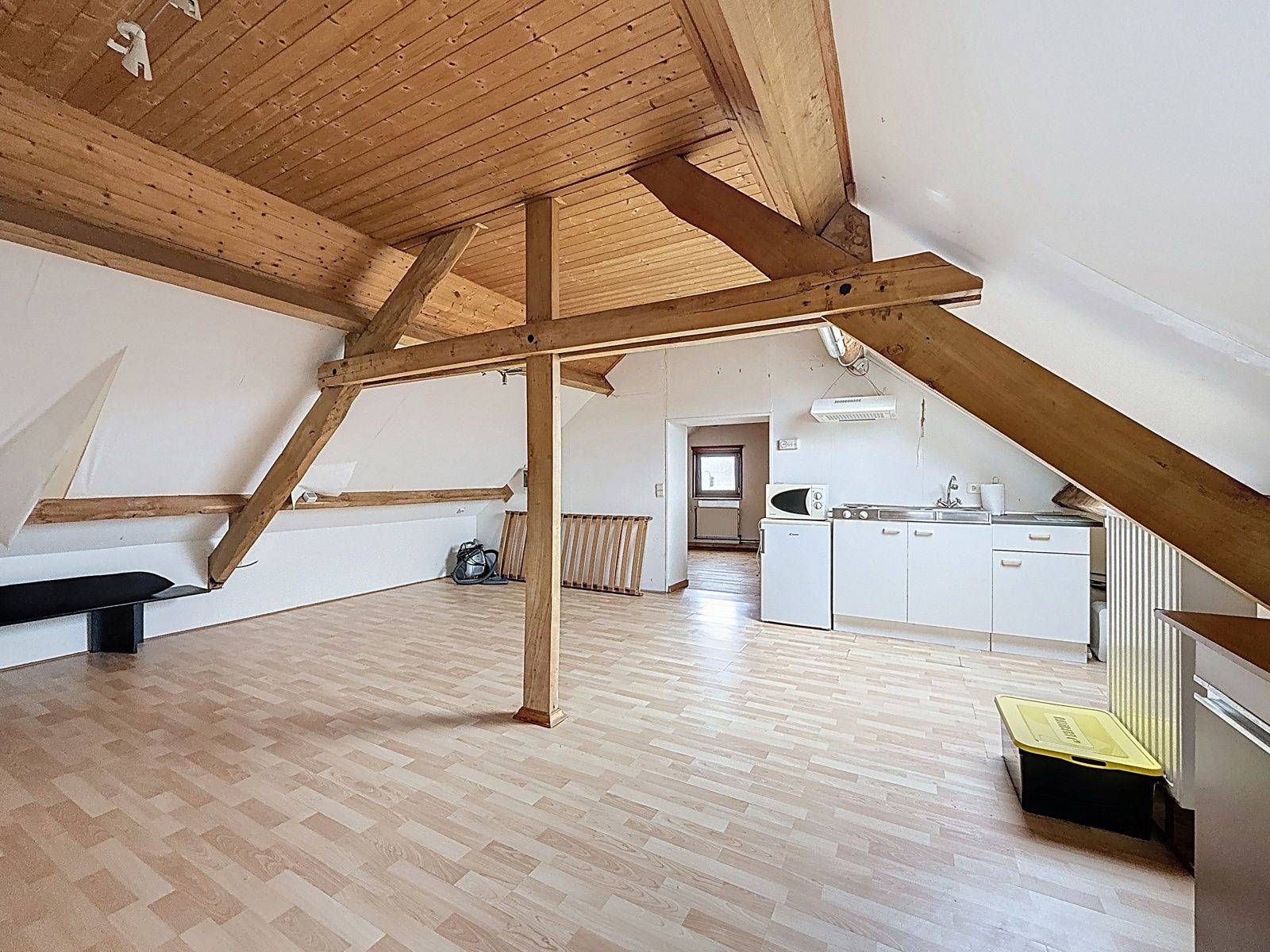 Woning mét hangaars en tuin foto 22