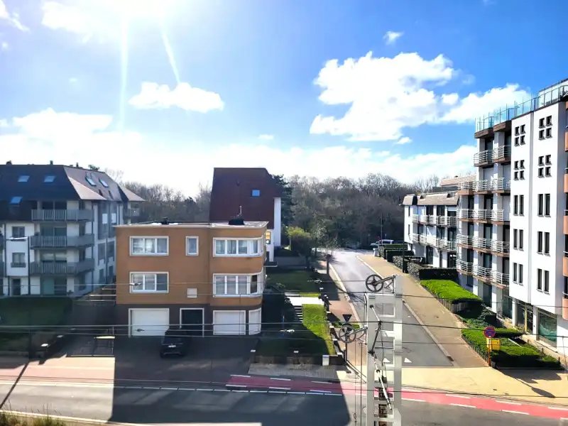 Lichtrijke studio met terras en slaaphoek te koop foto 8