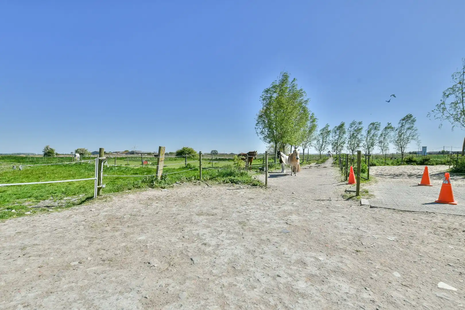 Authentieke hoeve met bouwland & stallen op unieke landelijke ligging tussen De Haan en Nieuwmunster foto 23