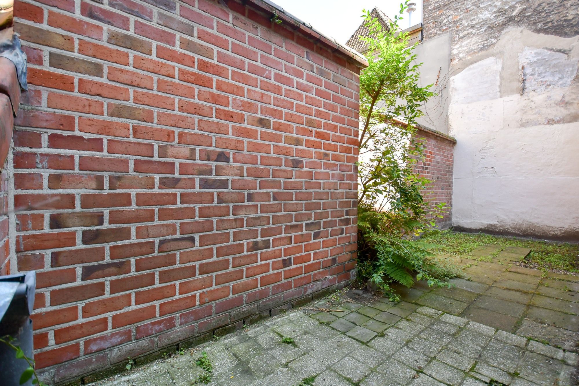 Ruime lichtrijke hoekwoning met 4 slpk en stadskoer foto 3