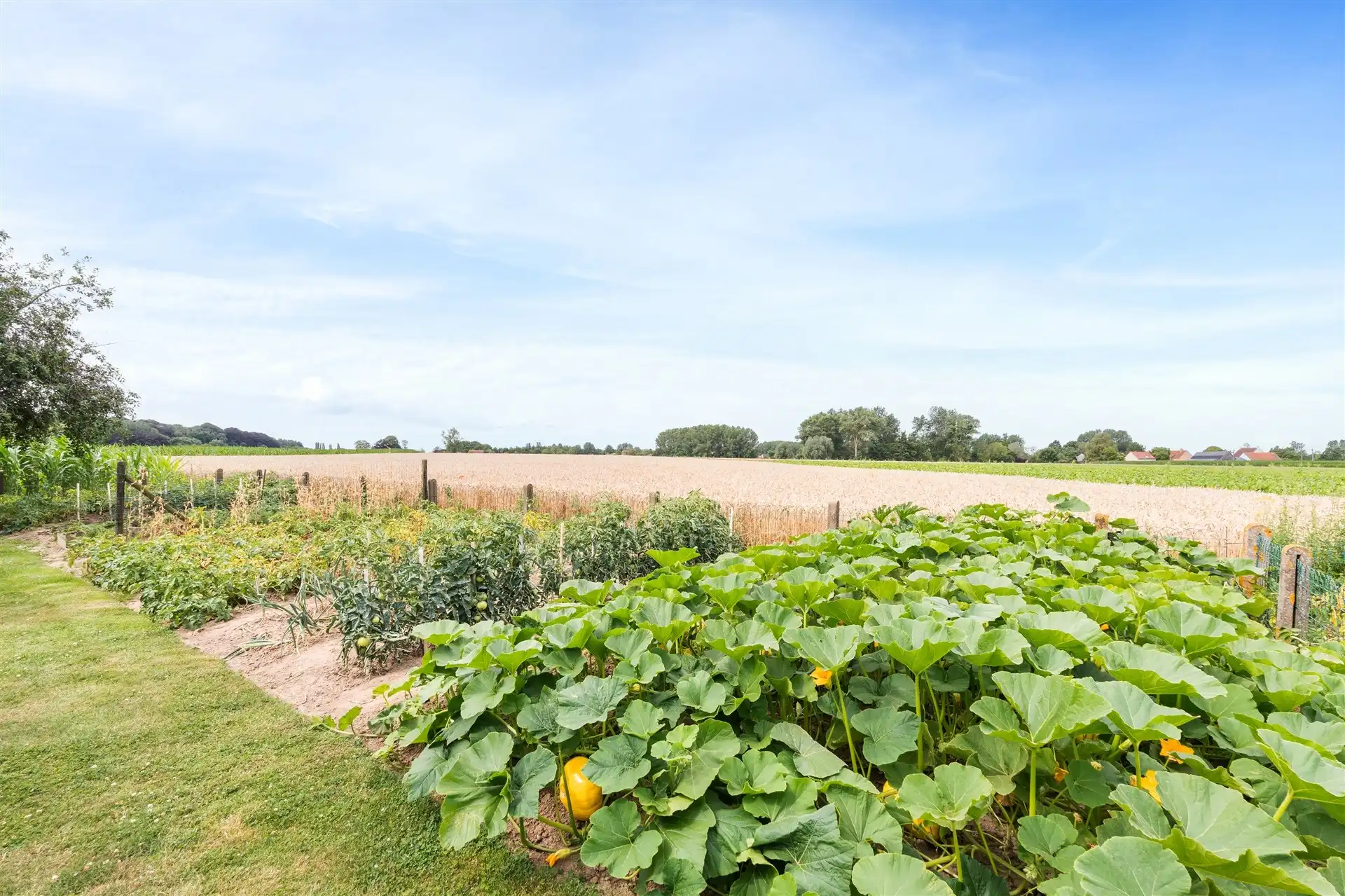 Karaktervolle gezinswoning met 7 slaapkamers in Oosterzele foto 23