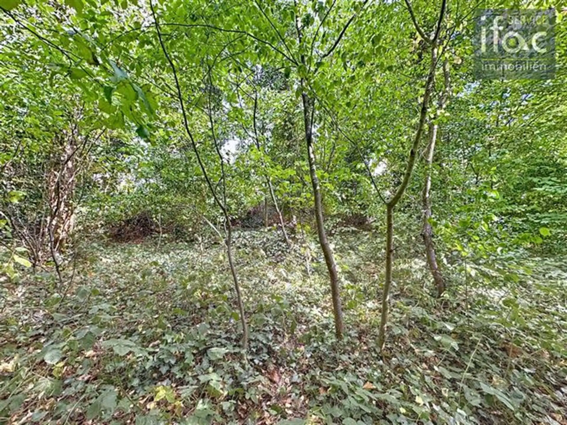 Gunstig gelegen bouwgrond vlakbij Brussel 8a42 foto 8