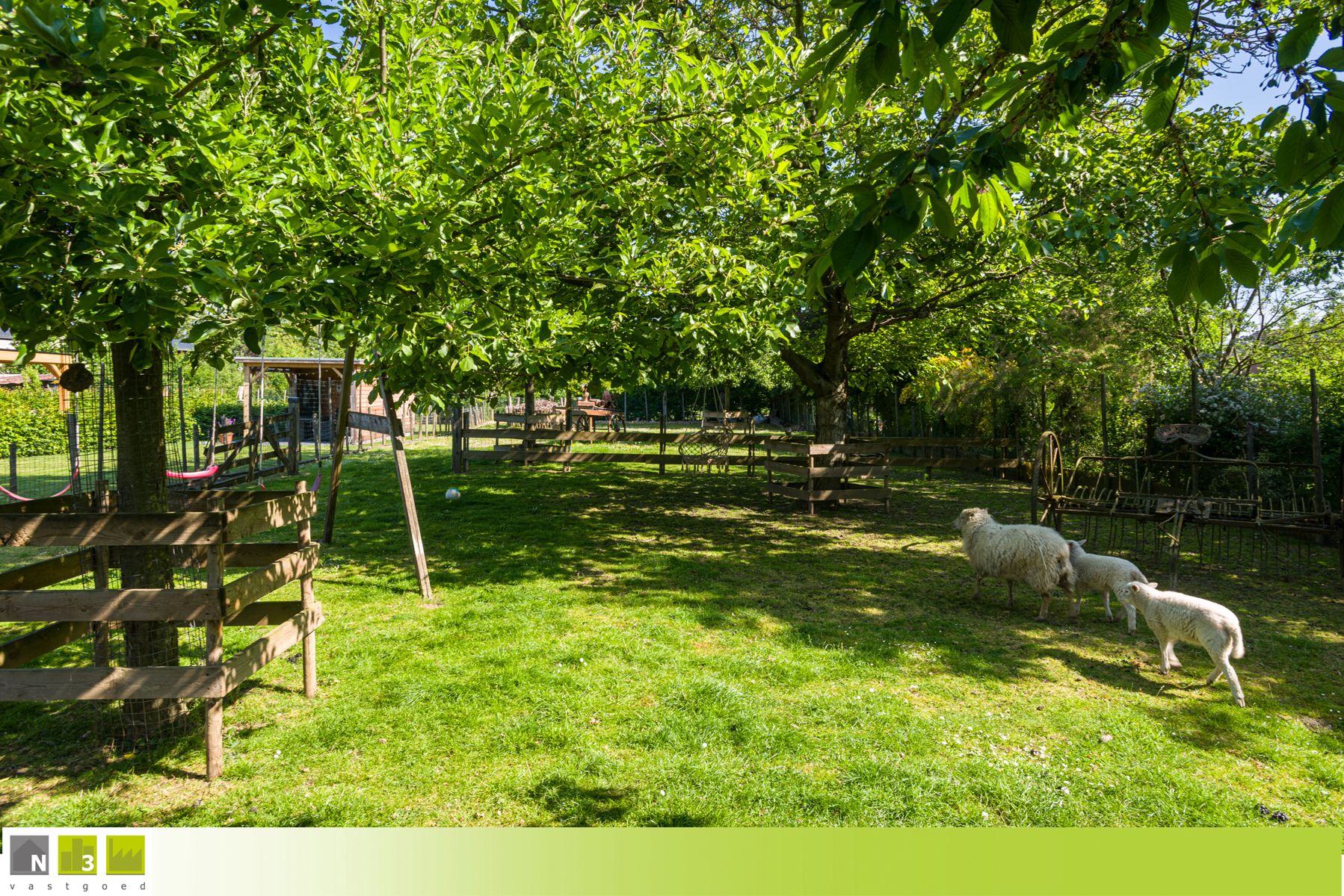 Boerderij te koop foto 60