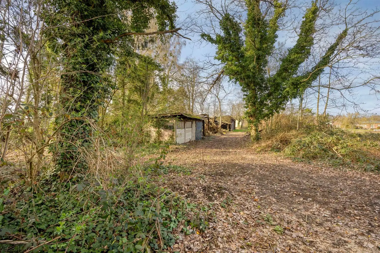 Vrijstaande woning op een uitzonderlijk perceel van 29a95ca met 4 slaapkamers en inpandige garage, gelegen op een rustige toplocatie nabij het centrum van Maaseik. foto 28