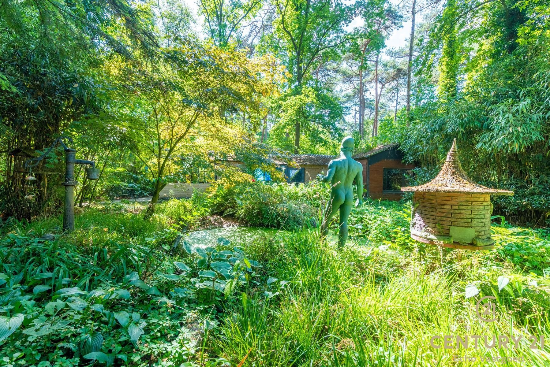 Volledig te renoveren vakantiechalet op een royaal perceel foto 3