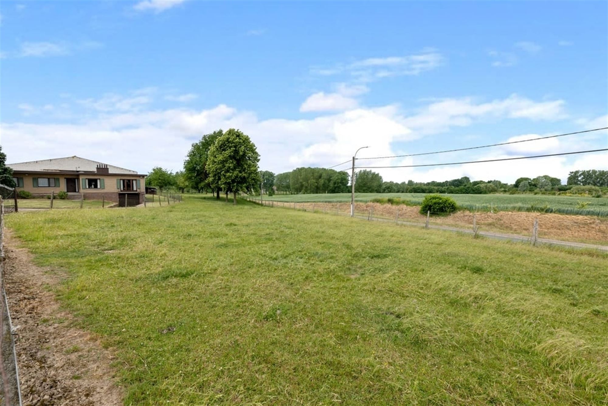 RUIME GEZINSWONING MET LOODS EN WEIDE OP 1,1 HECTARE IN HET LANDELIJKE SINT-TRUIDEN foto 8