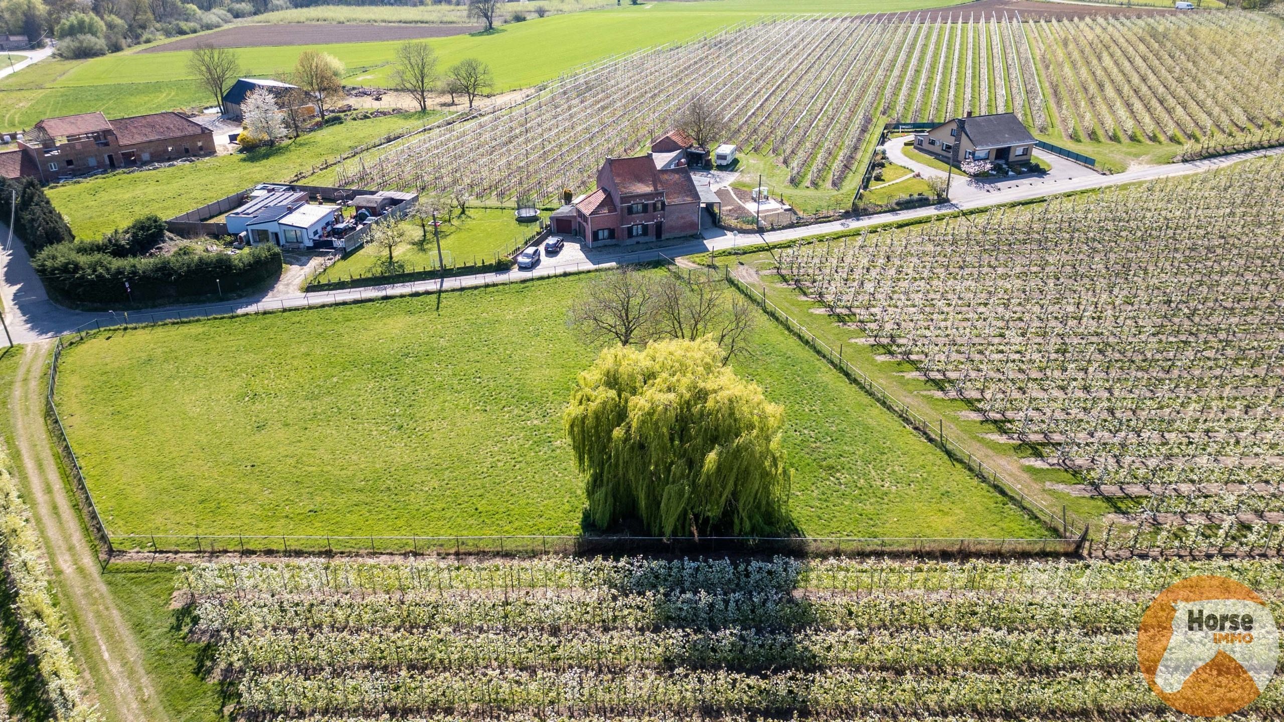 Meensel Kiezegem - Omheinde weide van 40a foto 4