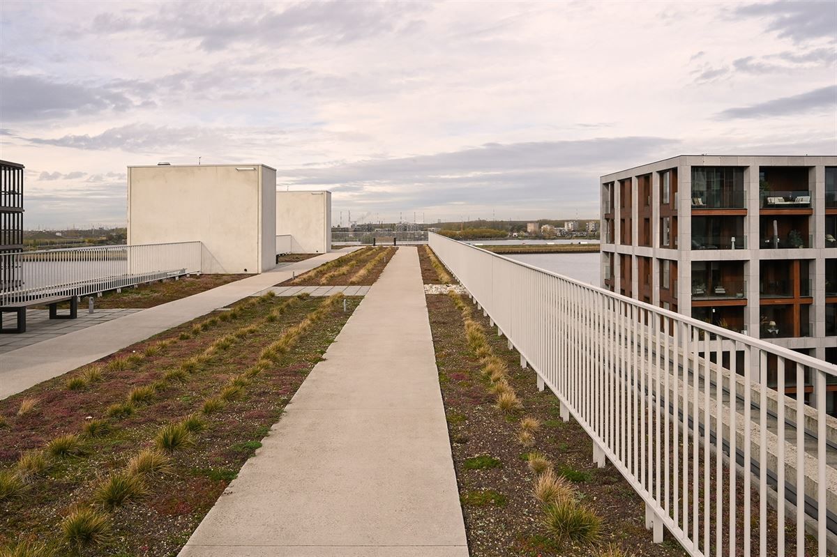 Gemeubeld appartement met 2 terrassen en Scheldezicht foto 20