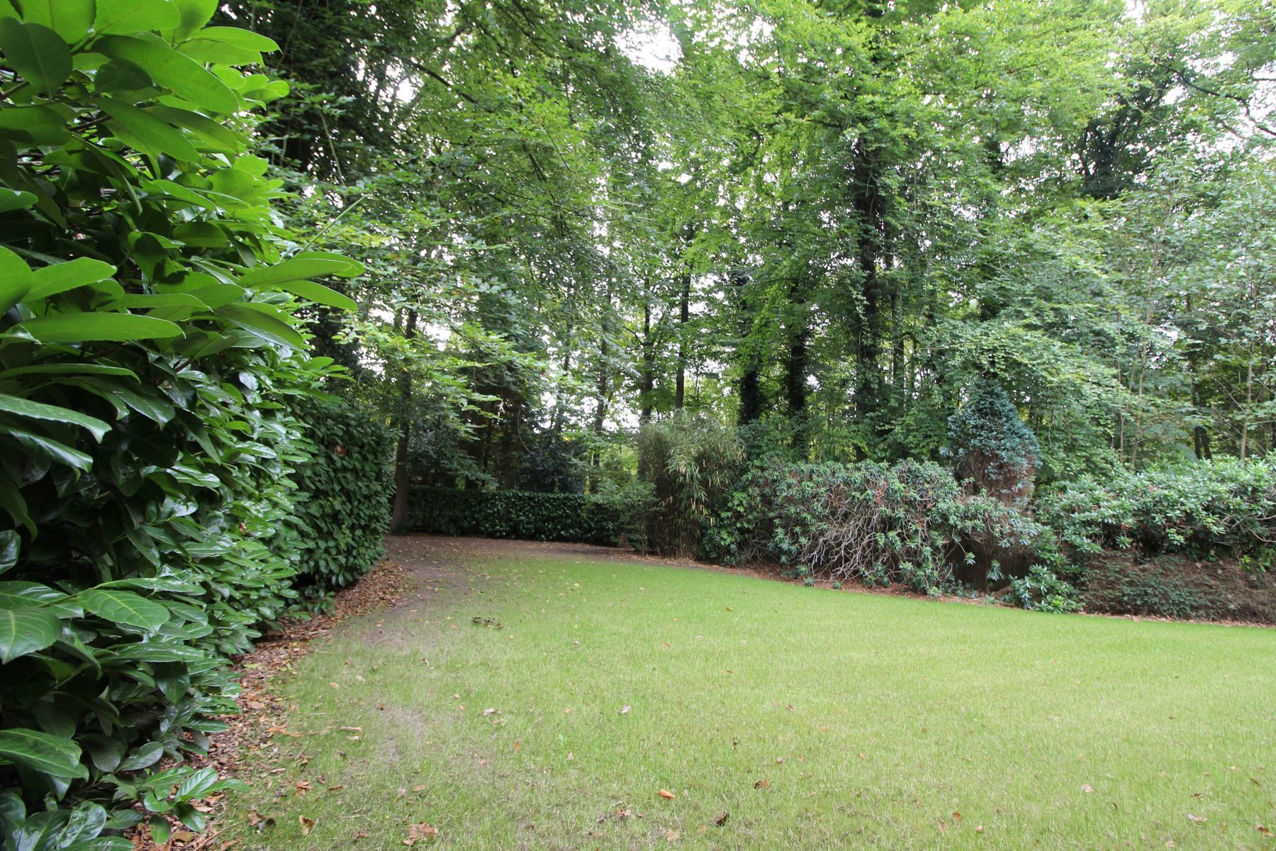 Huis te koop foto 21