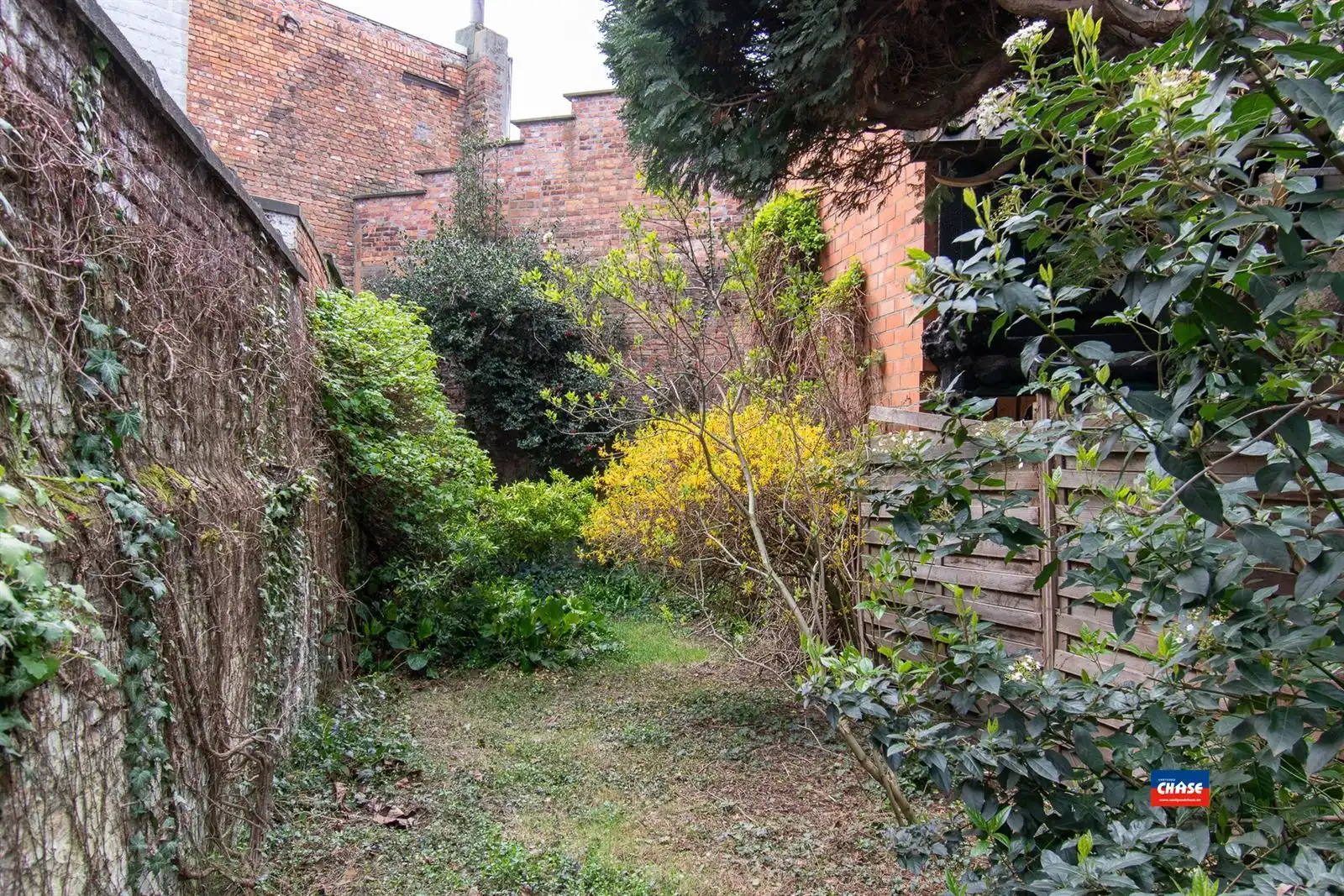 Woning met 4 tot 5 slaapkamers en tuin foto 6