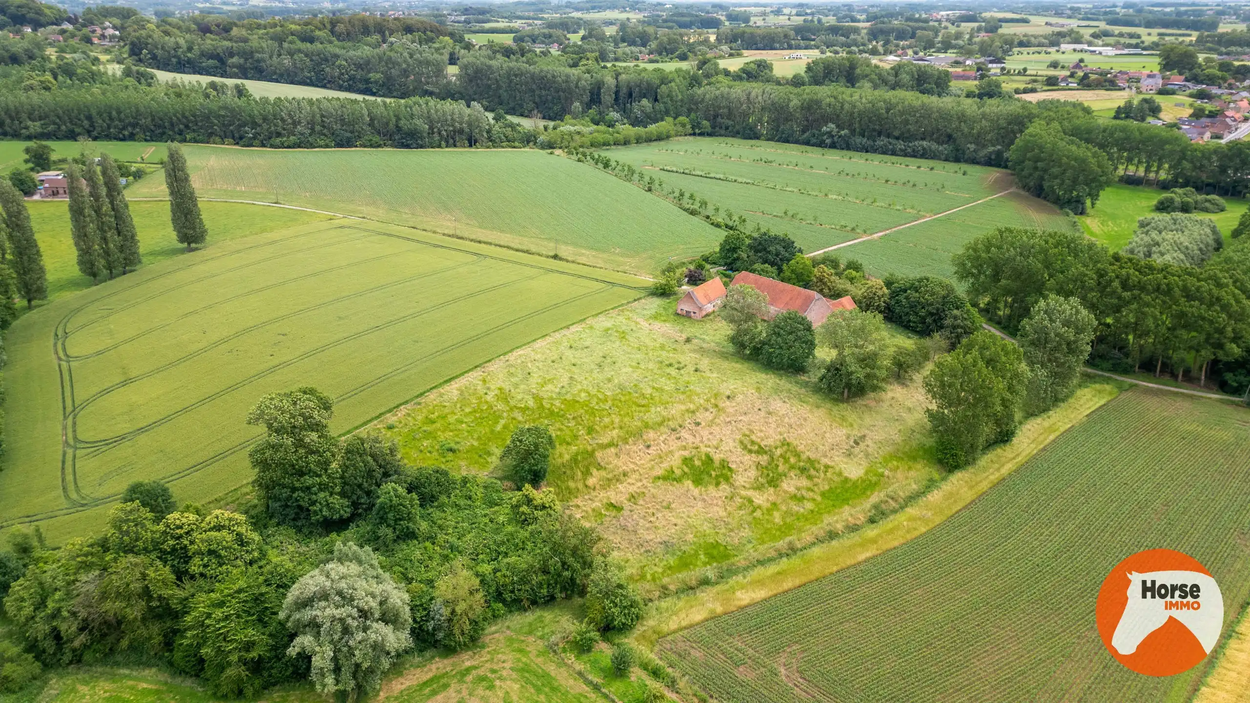 VOLLEZELE - Uniek gelegen karakterhoeve op ca. 2,4ha foto 6