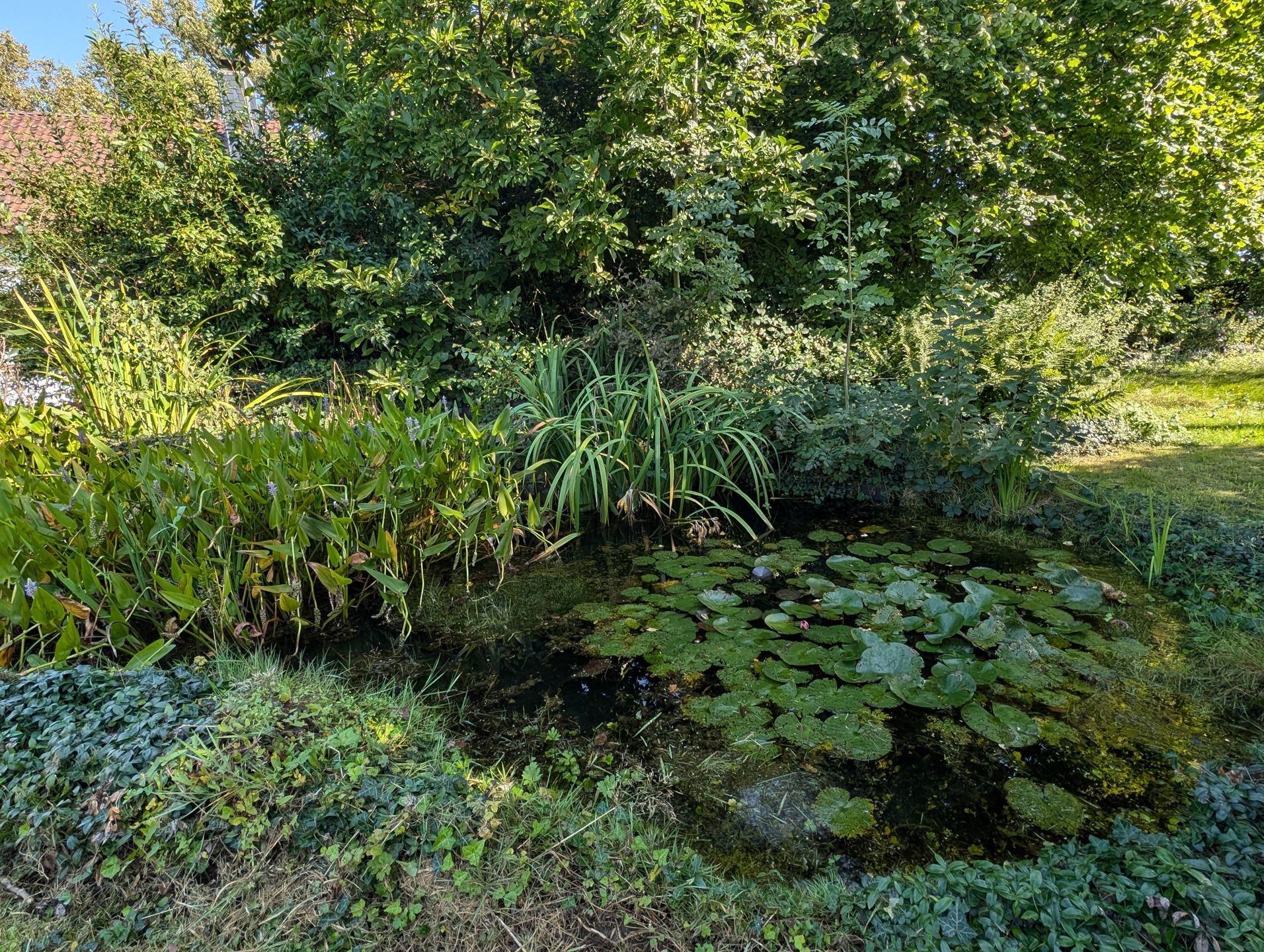 charmante hoeve met mooi zicht op +40a foto 6