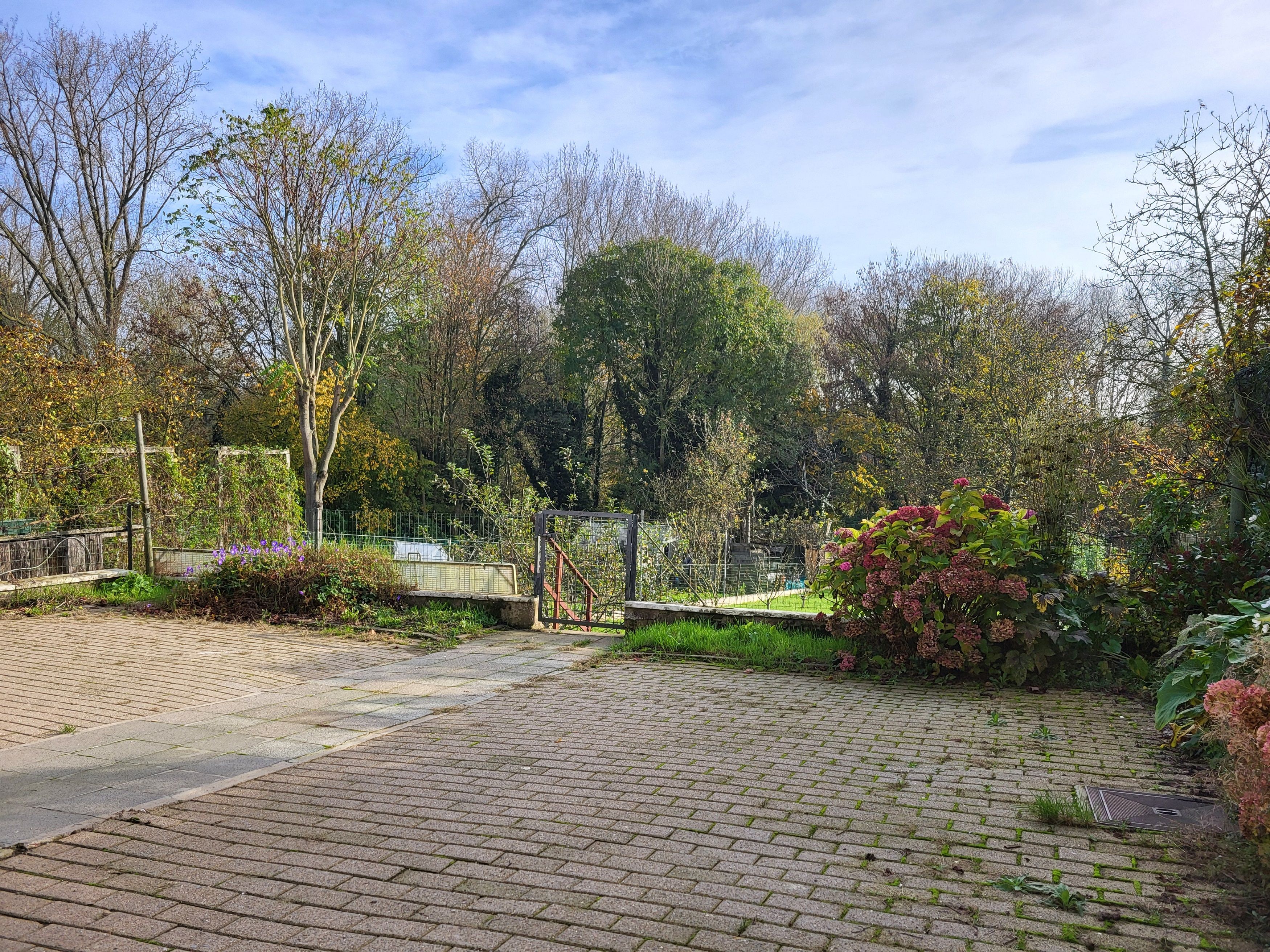 Prachtig onderhouden halfopen bebouwing op 699m² met garage, zonnige tuin en uitzicht op het bos. REGISTRATIE 2% MOGELIJK (akte vanaf januari).  foto 25