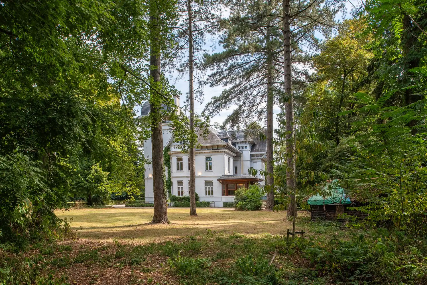 Prachtige directeurswoning met parktuin van 1,57 ha! foto 6